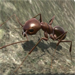 蚂蚁世界最新版